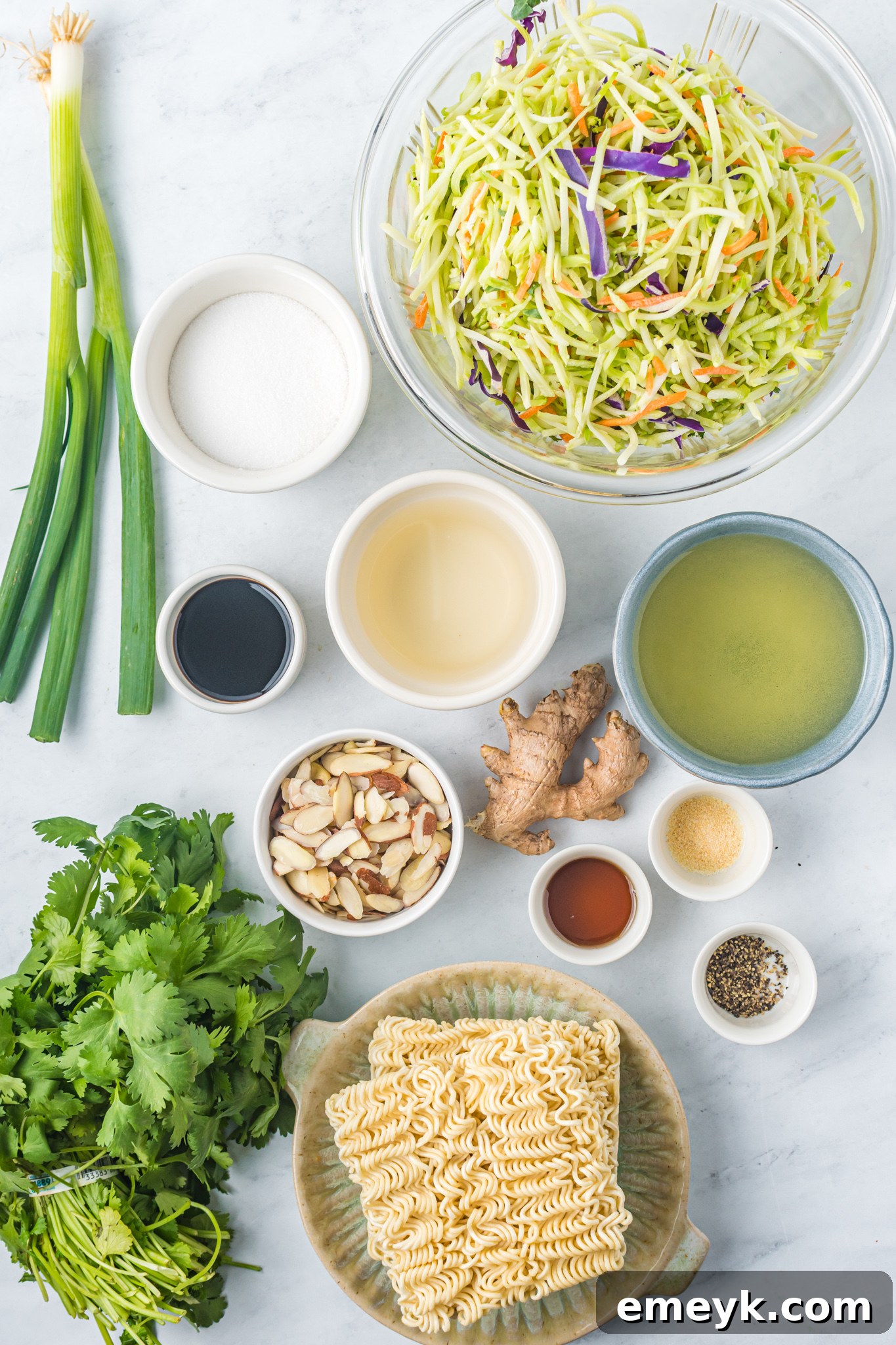 Broccoli Slaw Recipe ingredients.