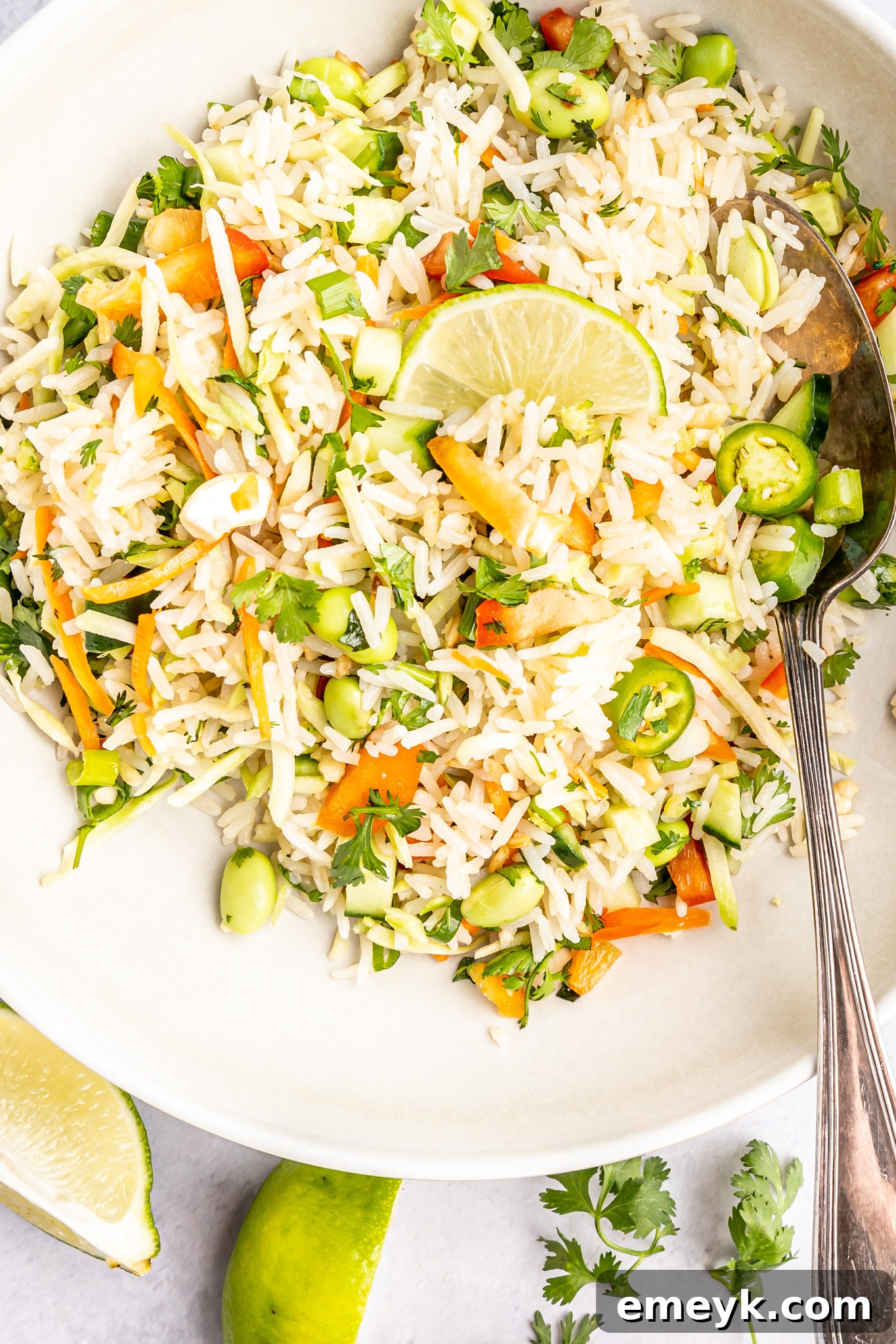 A pristine white bowl filled with freshly prepared Coconut Rice Salad, showcasing its inviting appearance.