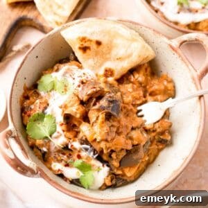 Easy Eggplant Curry in a white bowl, a close-up of the delicious vegan meal.