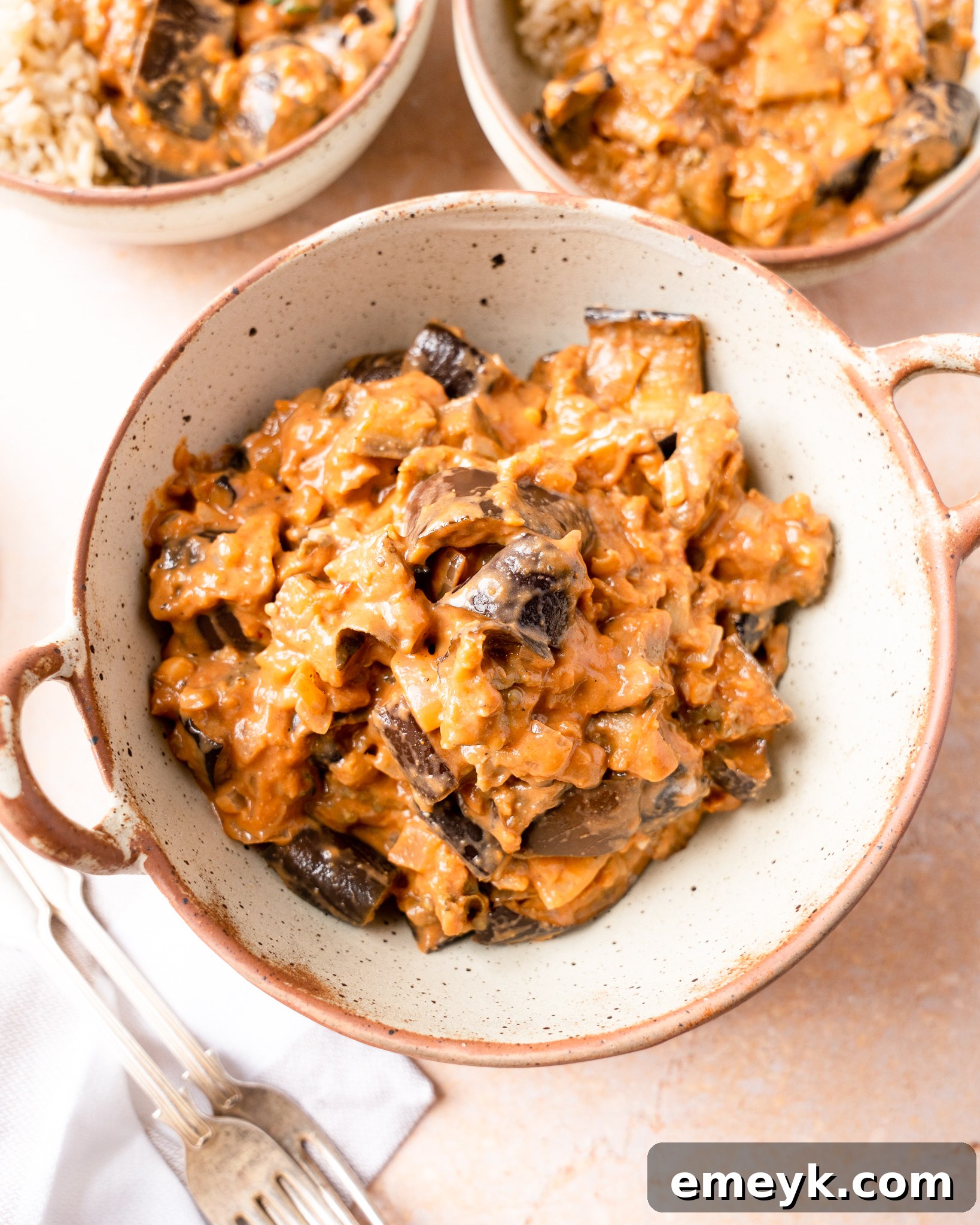 Weeknight Eggplant Wonder 8 A close-up of the finished Easy Eggplant Curry in a bowl, showcasing its rich texture and vibrant colors.