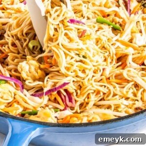 Wholesome Weeknight Veggie Chow Mein 8 A close-up of Easy Vegetable Chow Mein, perfectly cooked and ready to be enjoyed.