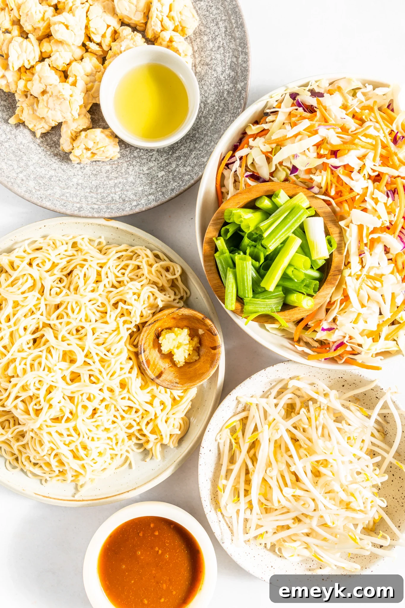 Wholesome Weeknight Veggie Chow Mein 3 All the fresh ingredients meticulously laid out for Easy Vegetable Chow Mein preparation, including tempeh, vegetables, and sauce components.
