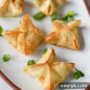 Air Fryer Crab Rangoon 1200 x 1200