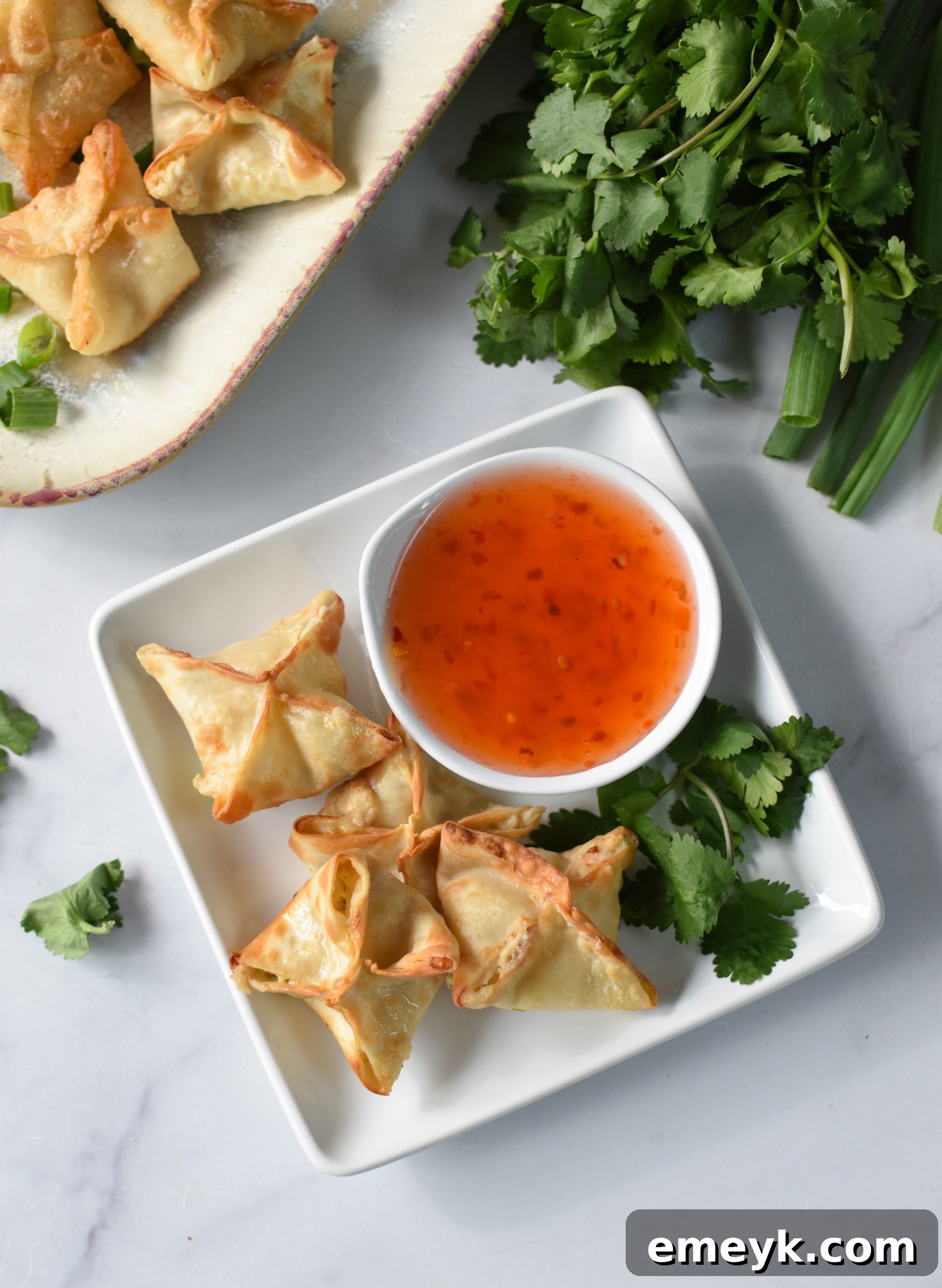 A serving of Air Fryer Crab Rangoon on a rustic square plate, garnished with fresh herbs.