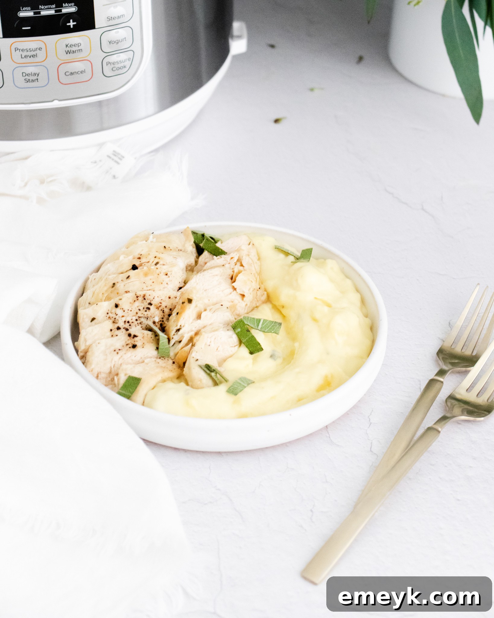 Instant Pot Chicken Breast and Mashed Potatoes in a white bowl, ready to eat.