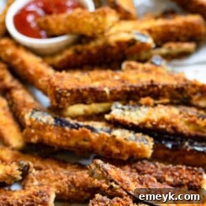 Air Fryer Eggplant Fries Recipe with ketchup