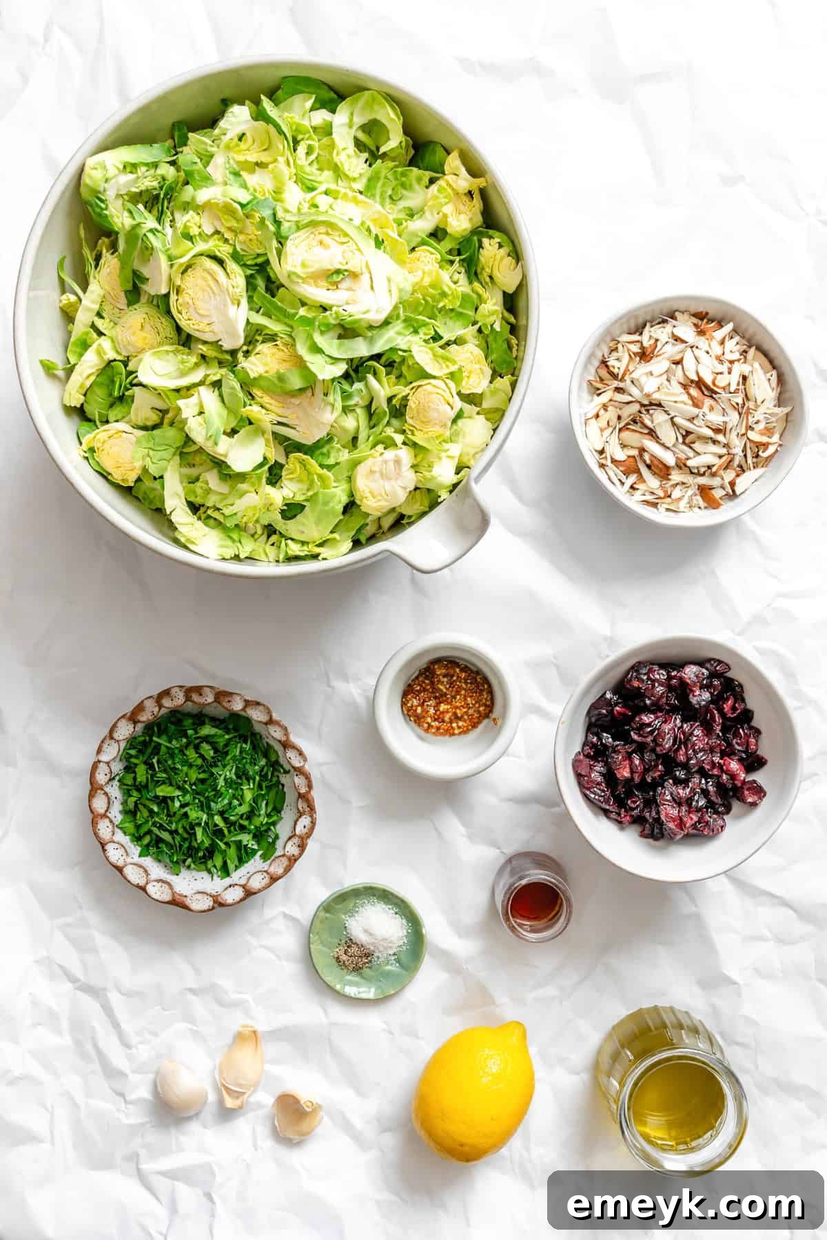 Crisp Brussels Slaw 3 Brussels Sprout Slaw recipe ingredients laid out, featuring fresh sprouts, cranberries, almonds, and dressing components
