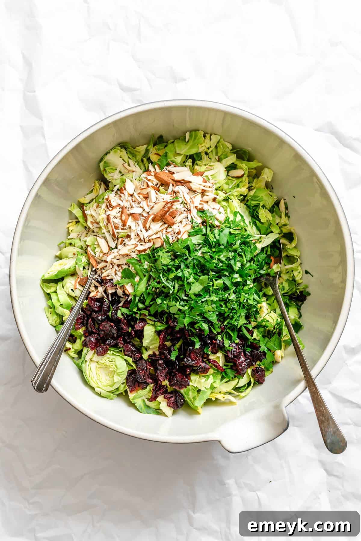 Crisp Brussels Slaw 5 Brussels Sprout Slaw ingredients in a large bowl, before dressing
