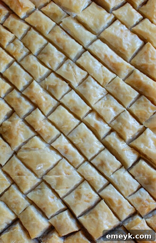 Baked Baklava squares being arranged in festive cupcake liners