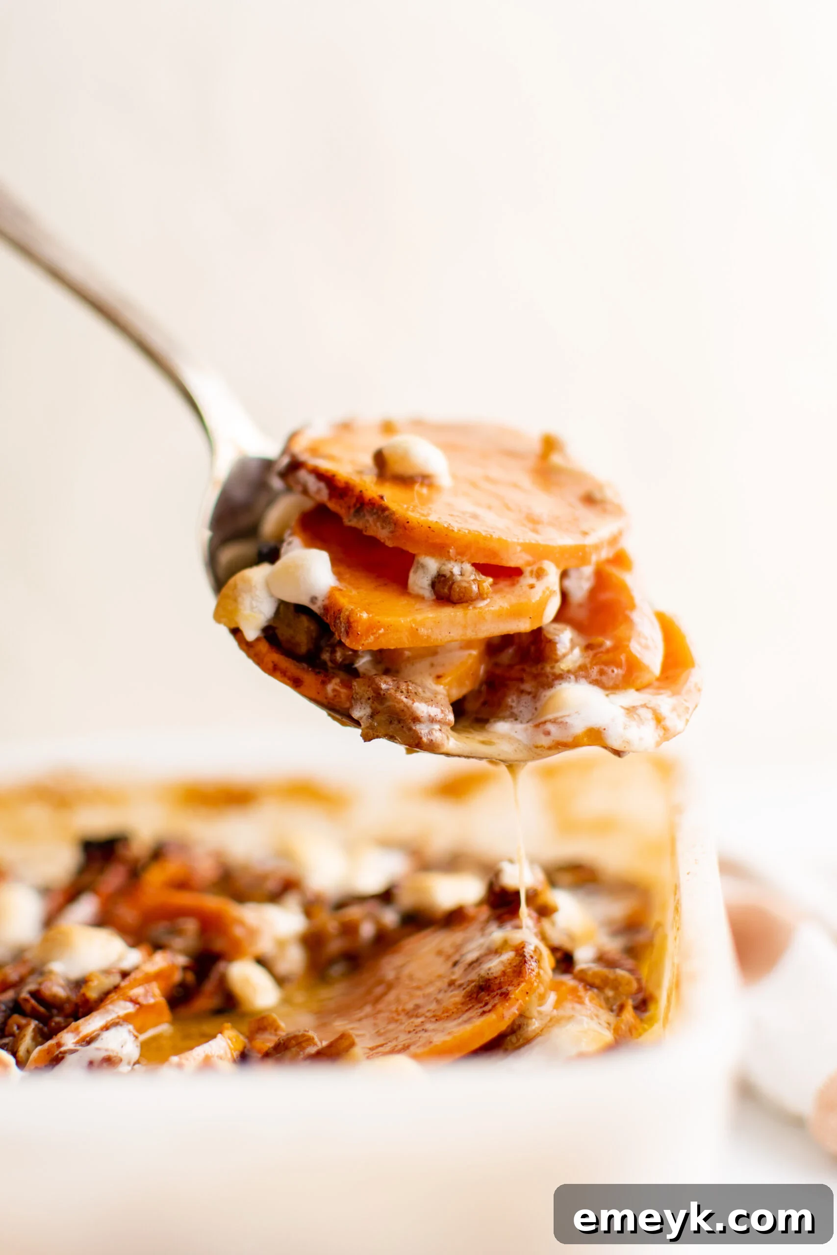 Easy Scalloped Sweet Potatoes on a spoon, showcasing layers and topping.