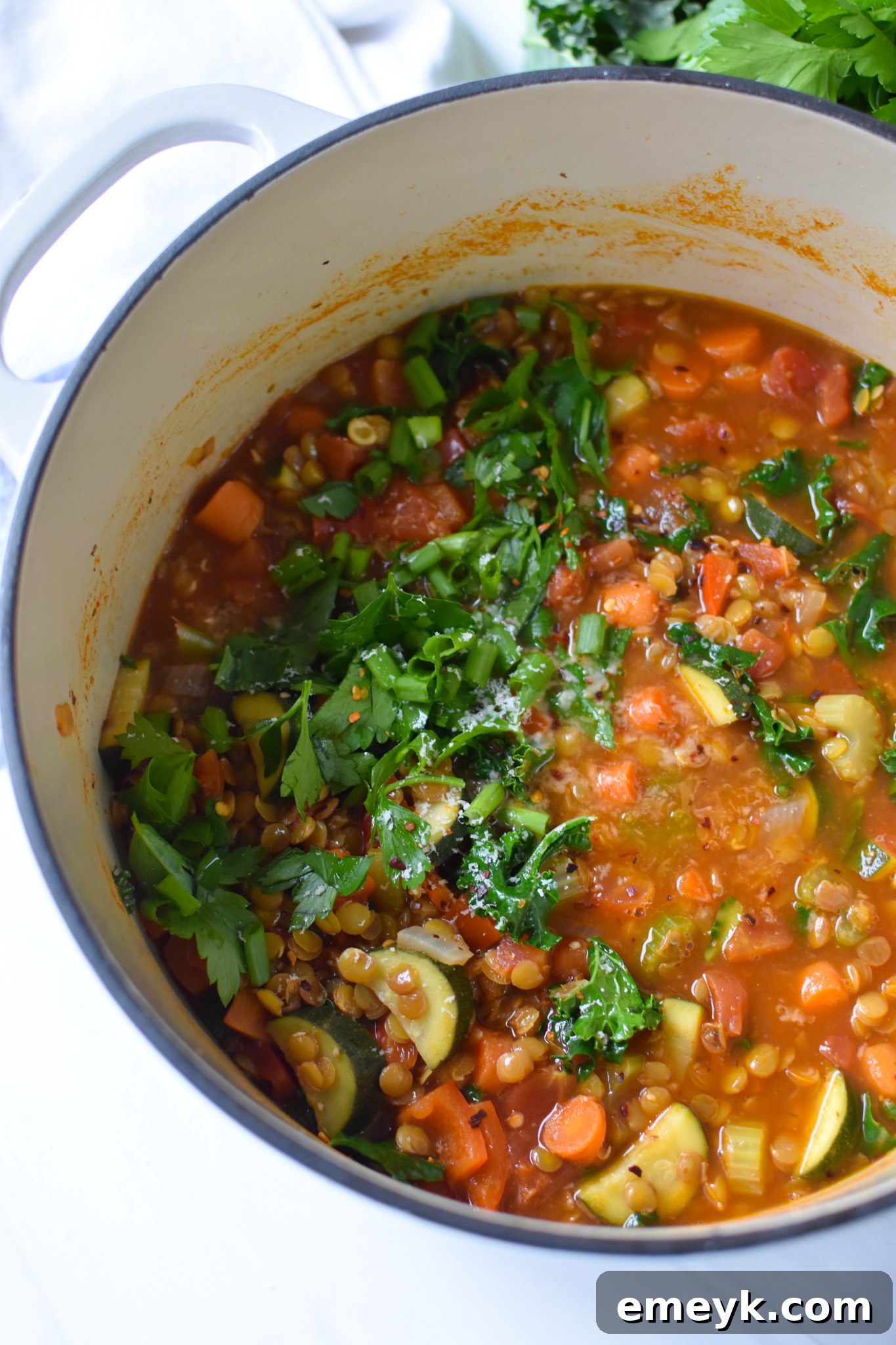 Italian Style Lentil Soup simmering in a large pot, showing a rich, colorful broth.