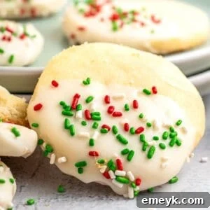 Christmas Shortbread Cookies 1200 x 1200