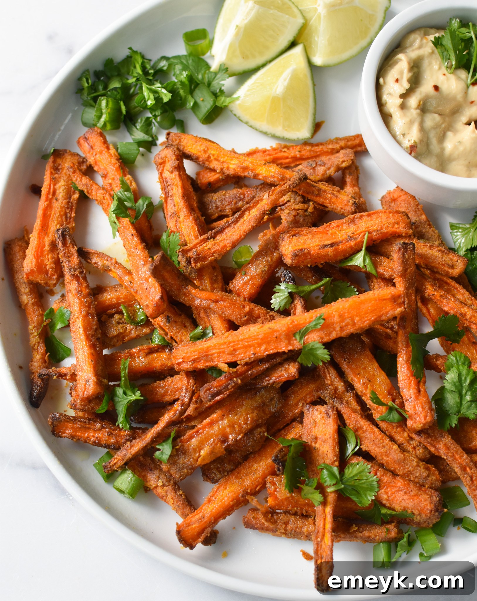 Golden Roasted Carrot Fries 5 Oven Baked Carrot Fries served with a savory dip on a dark background.