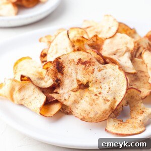 Easy Air Fryer Apple Chips