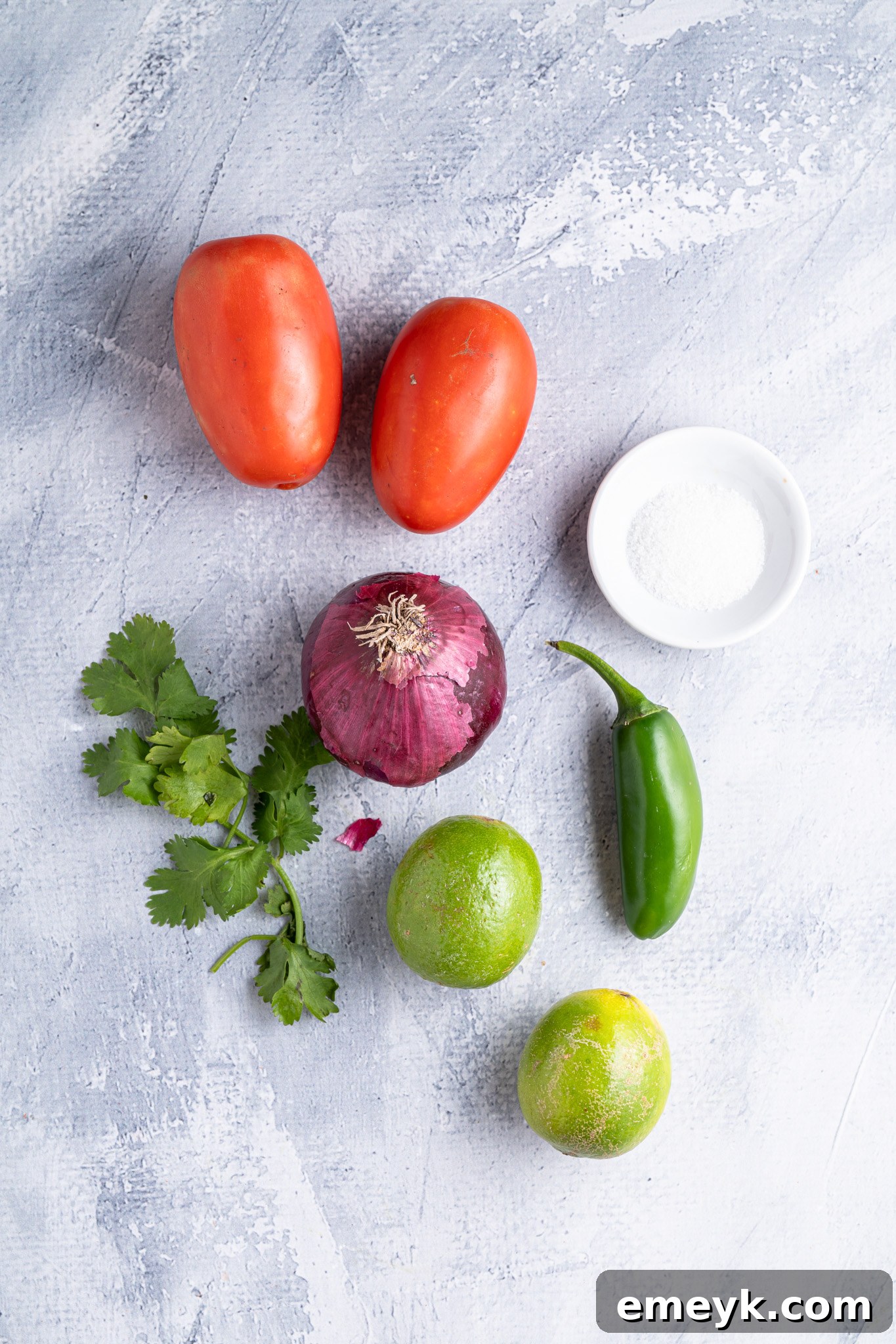 Fresh ingredients for Homemade Pico de Gallo, including Roma tomatoes, red onion, jalapeño, cilantro, and lime.