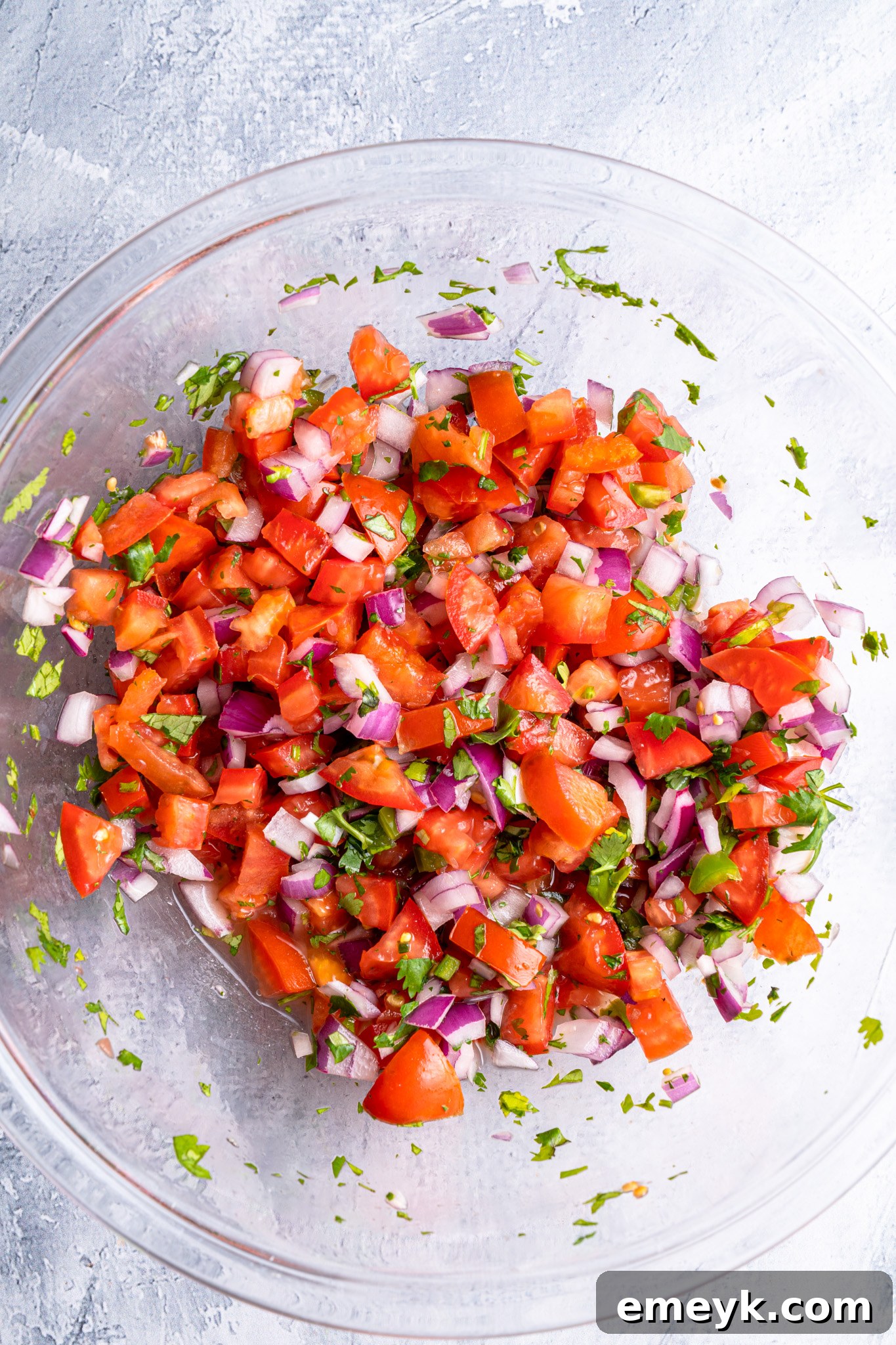 A bowl of freshly mixed Homemade Pico de Gallo salsa, ready to serve.