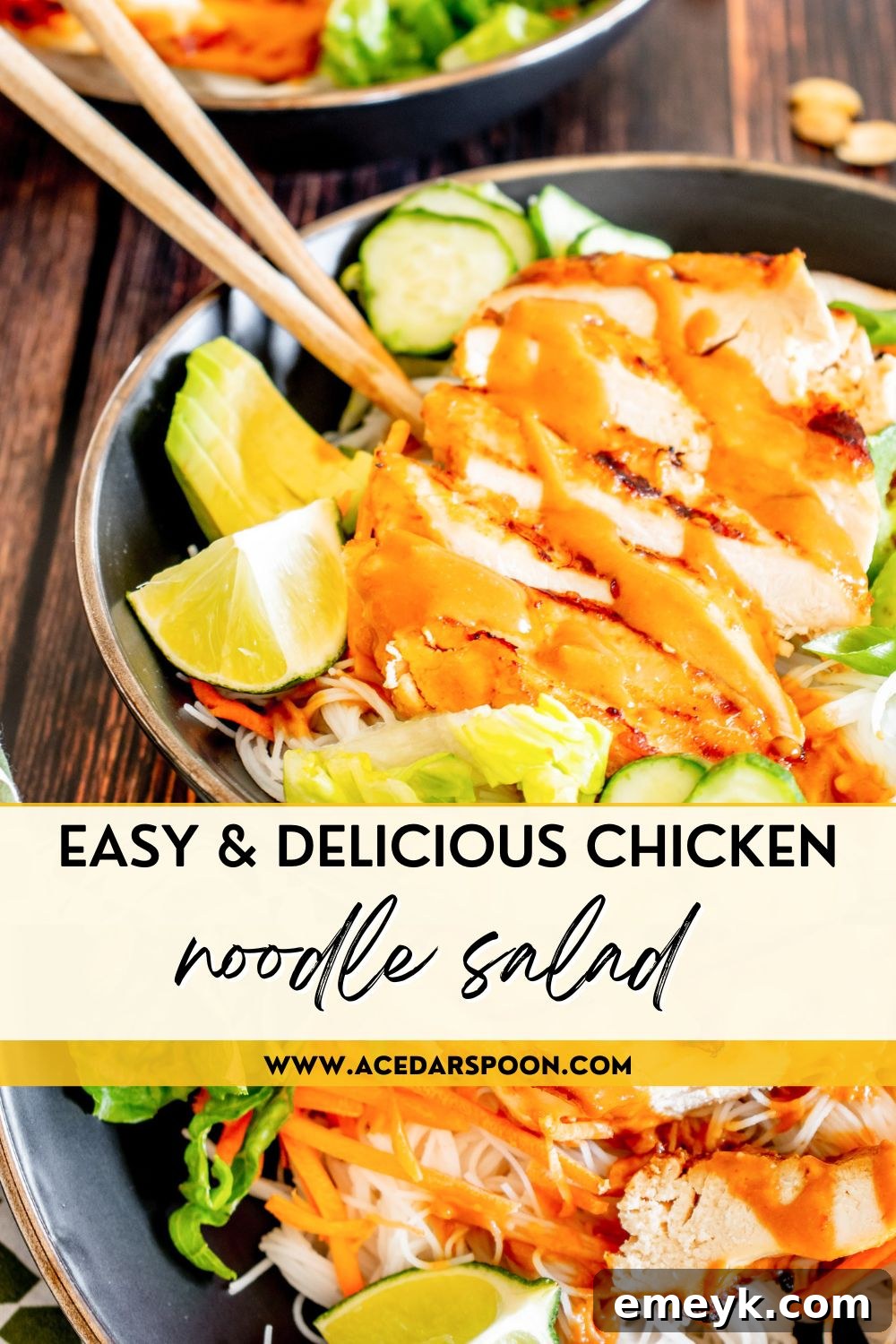 Thai Chicken Noodle Salad with a logo watermark.