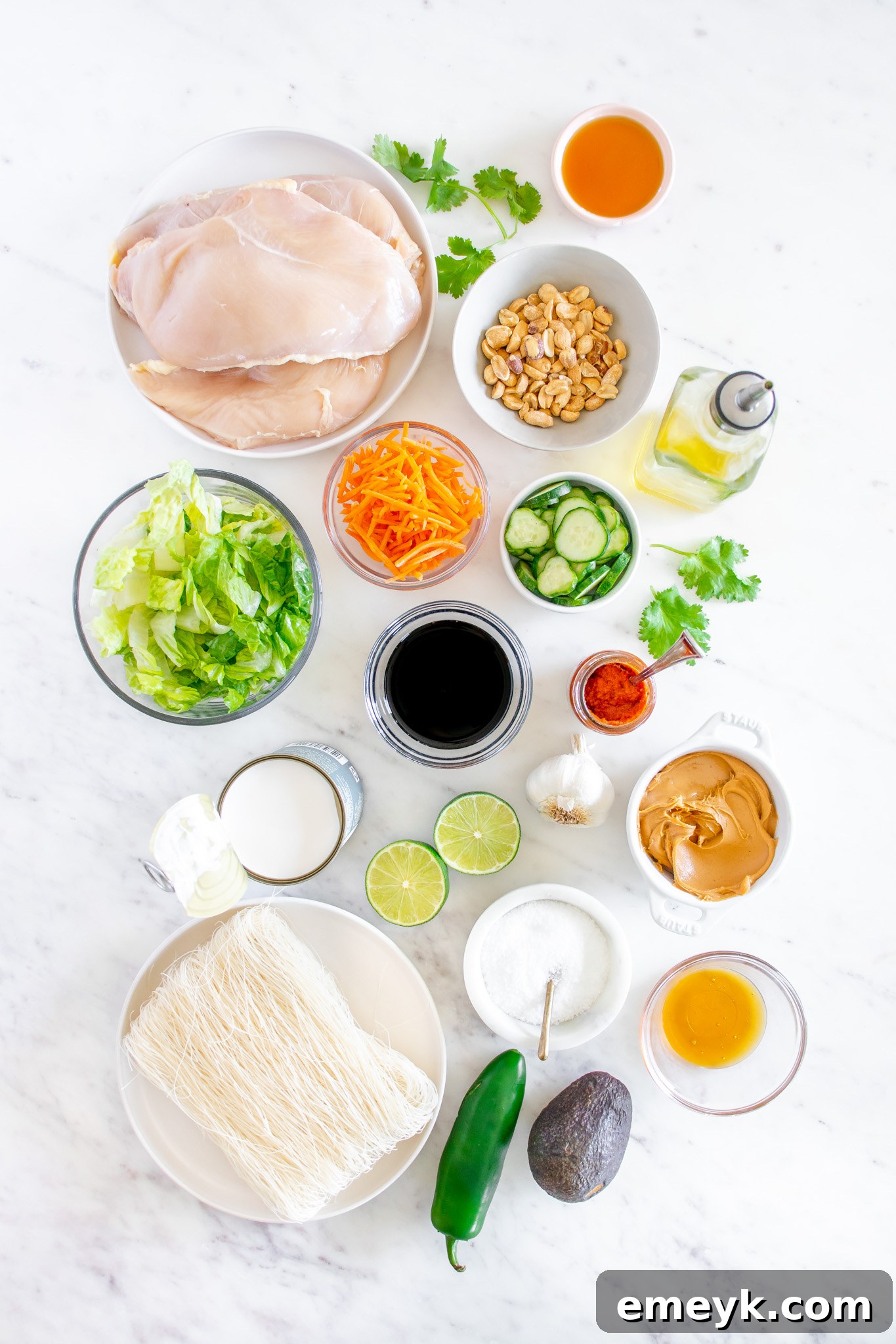 A colorful array of fresh ingredients for Thai Chicken Noodle Salad, including lettuce, carrots, cucumber, and cilantro.