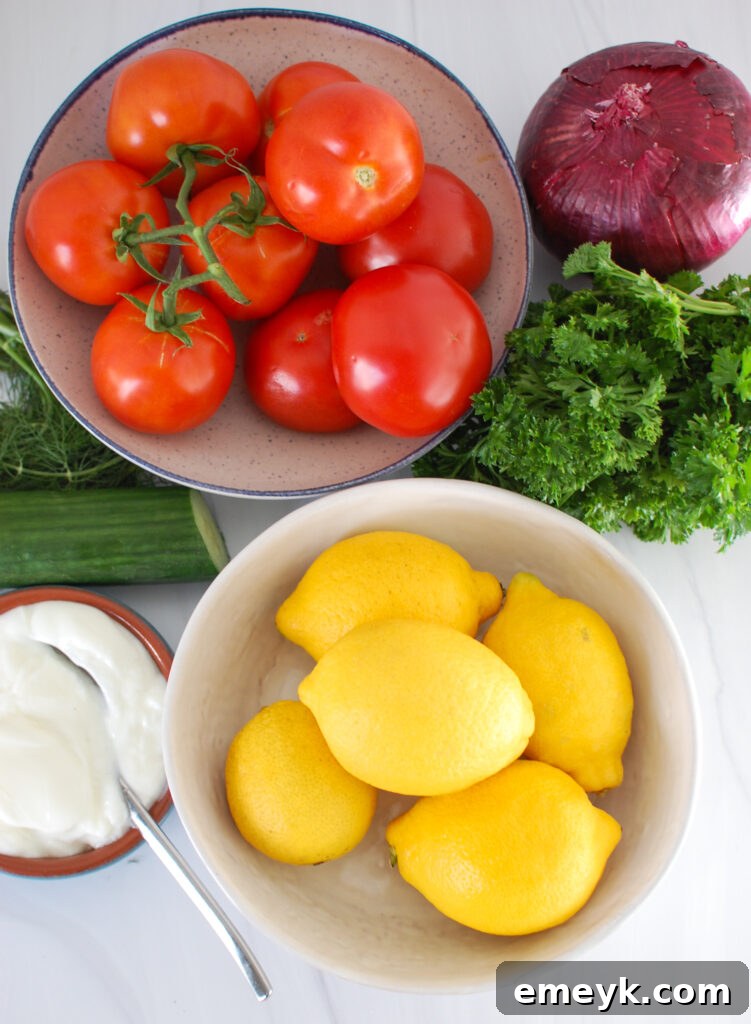 Close-up of fresh ingredients for Tomato Cucumber Salad with Yogurt Dressing, including diced tomatoes, cucumbers, red onion, and fresh herbs.