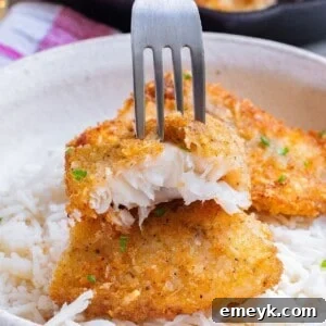 Easy Pan Fried Fish 1200 x 1200