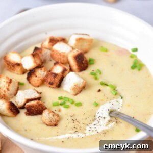 A beautifully presented bowl of Potato Leek Soup
