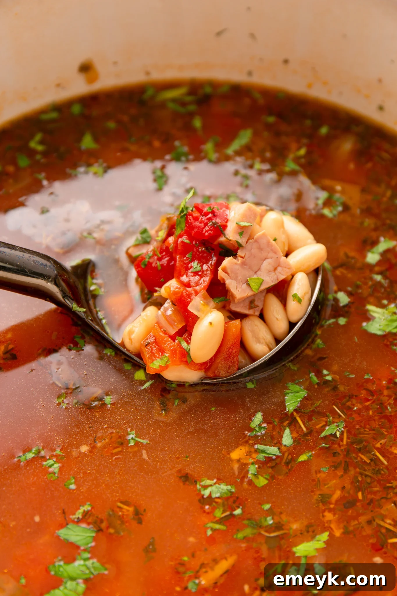 A ladle scooping rich Navy Bean Soup from a pot, showing the hearty texture and ingredients.