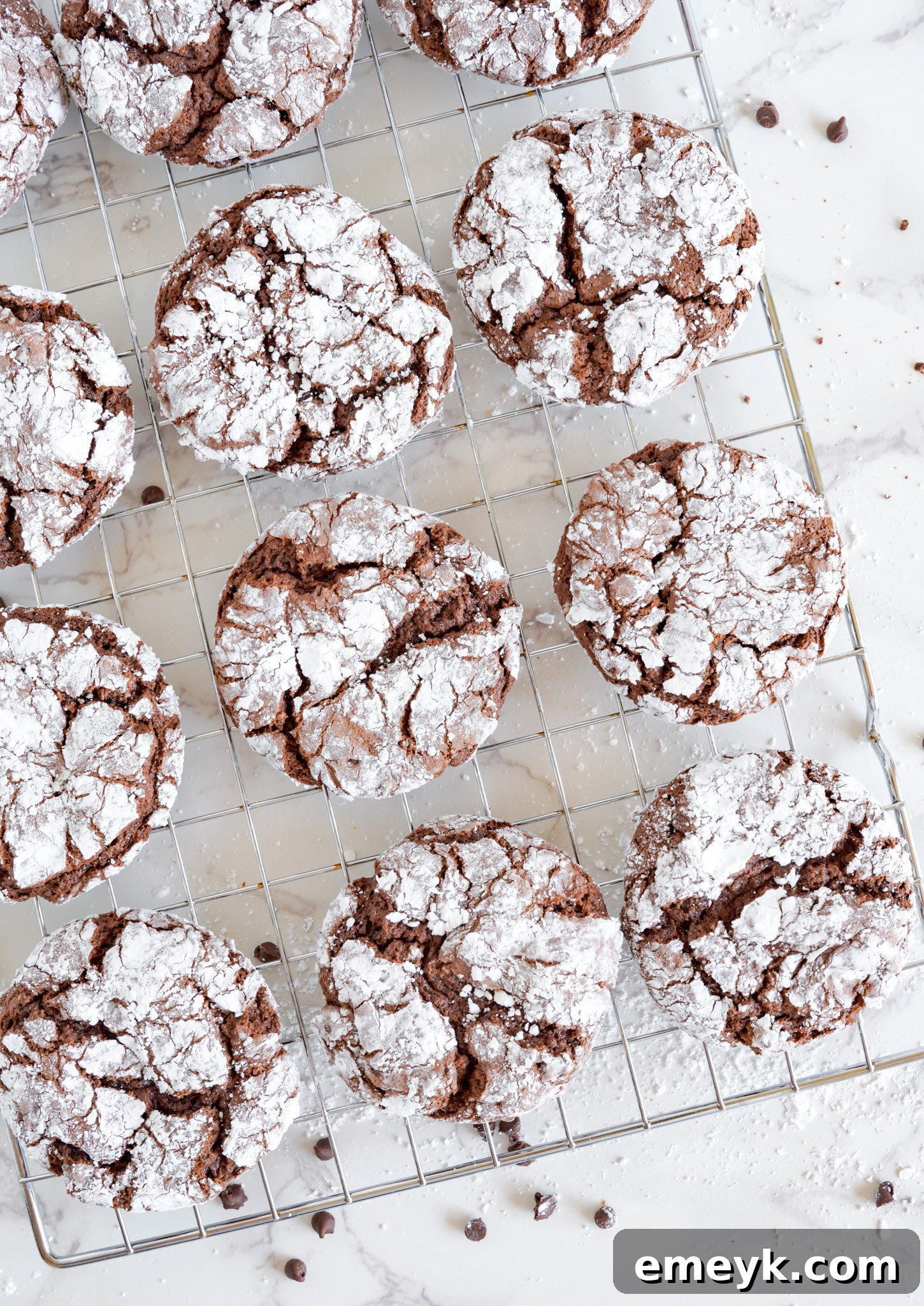 Freshly baked Chocolate Crinkle Cookies cooling on a baking sheet after being removed from the oven.
