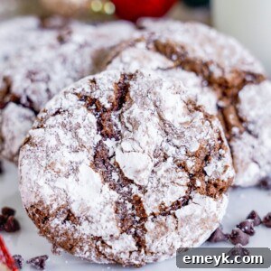 Chocolate Crinkle Cookie Recipe
