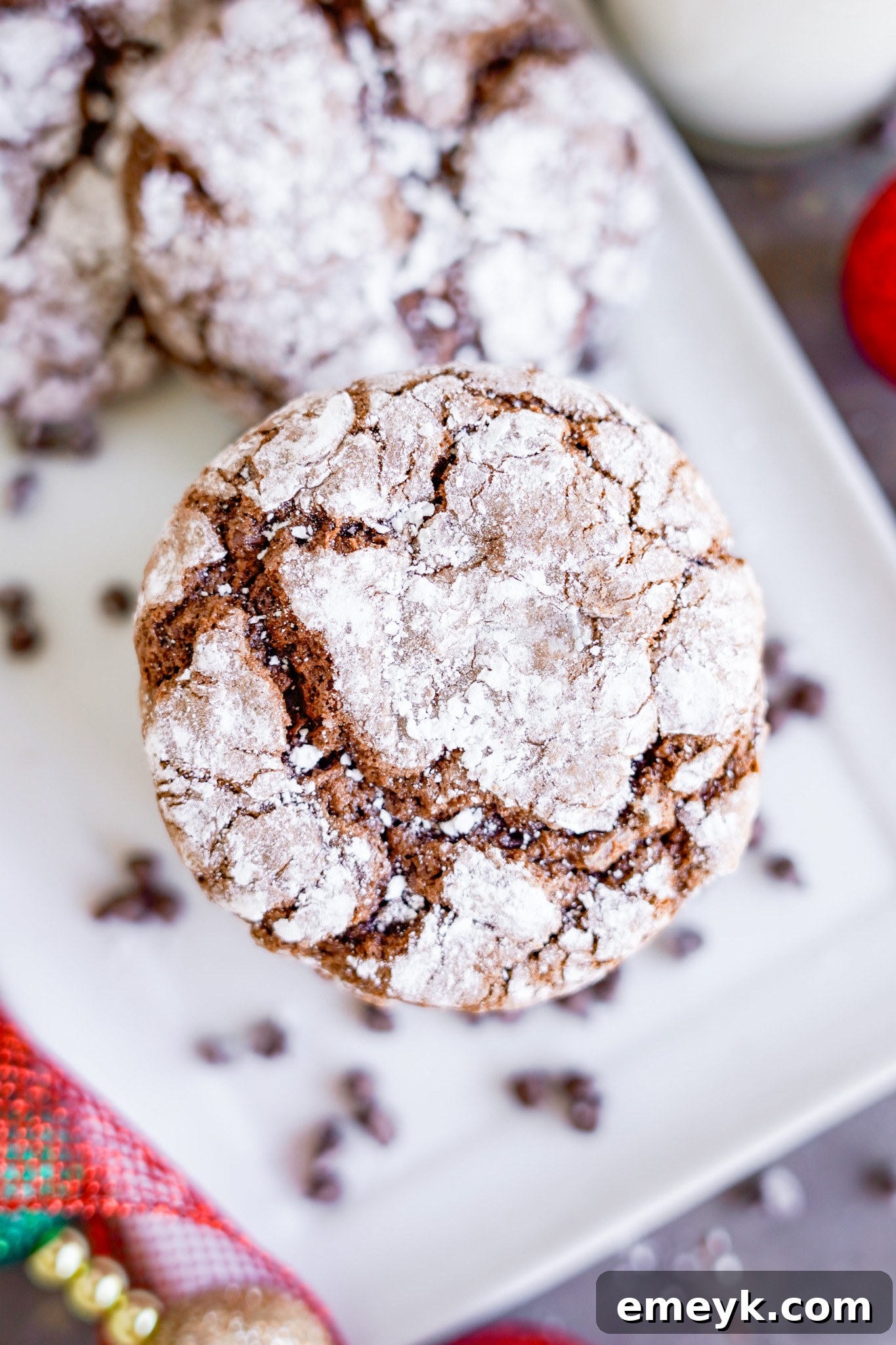 Close-up of baked Chocolate Crinkle Cookies with visible chocolate chips, dusted generously with powdered sugar.
