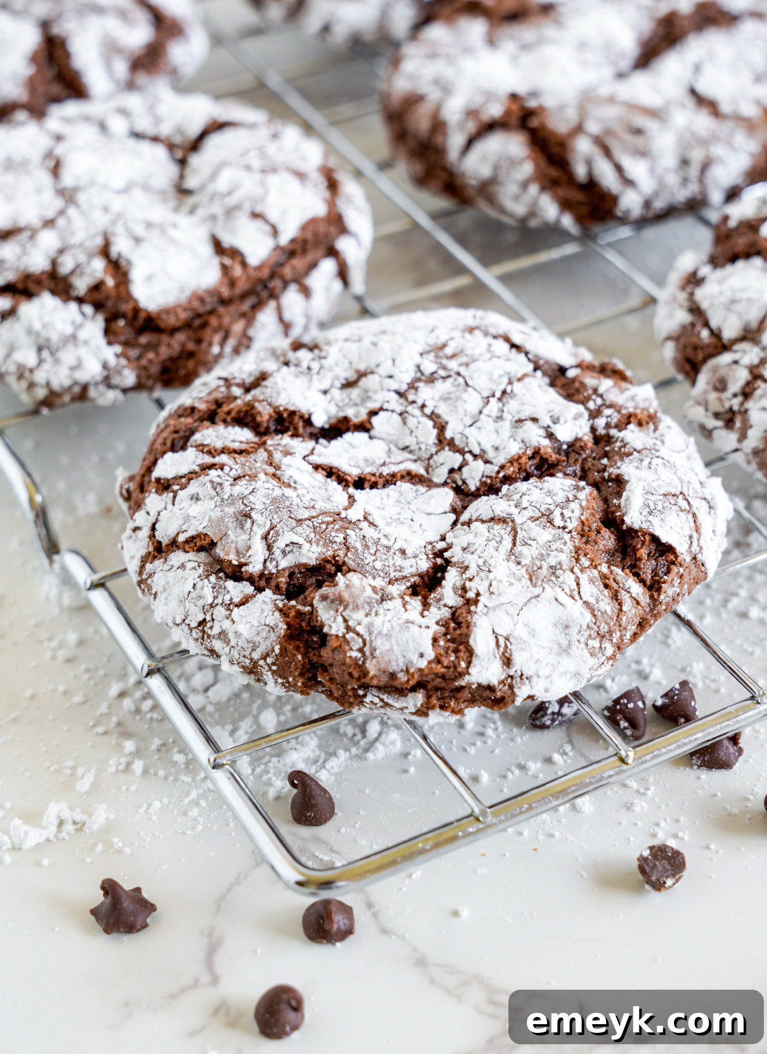 Freshly baked Chocolate Crinkle Cookies cooling on a wire rack, still showing their distinctive powdered sugar coating.