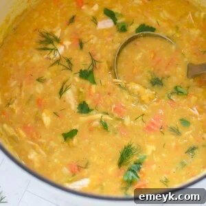 Chicken Lentil Soup Recipe in a bowl