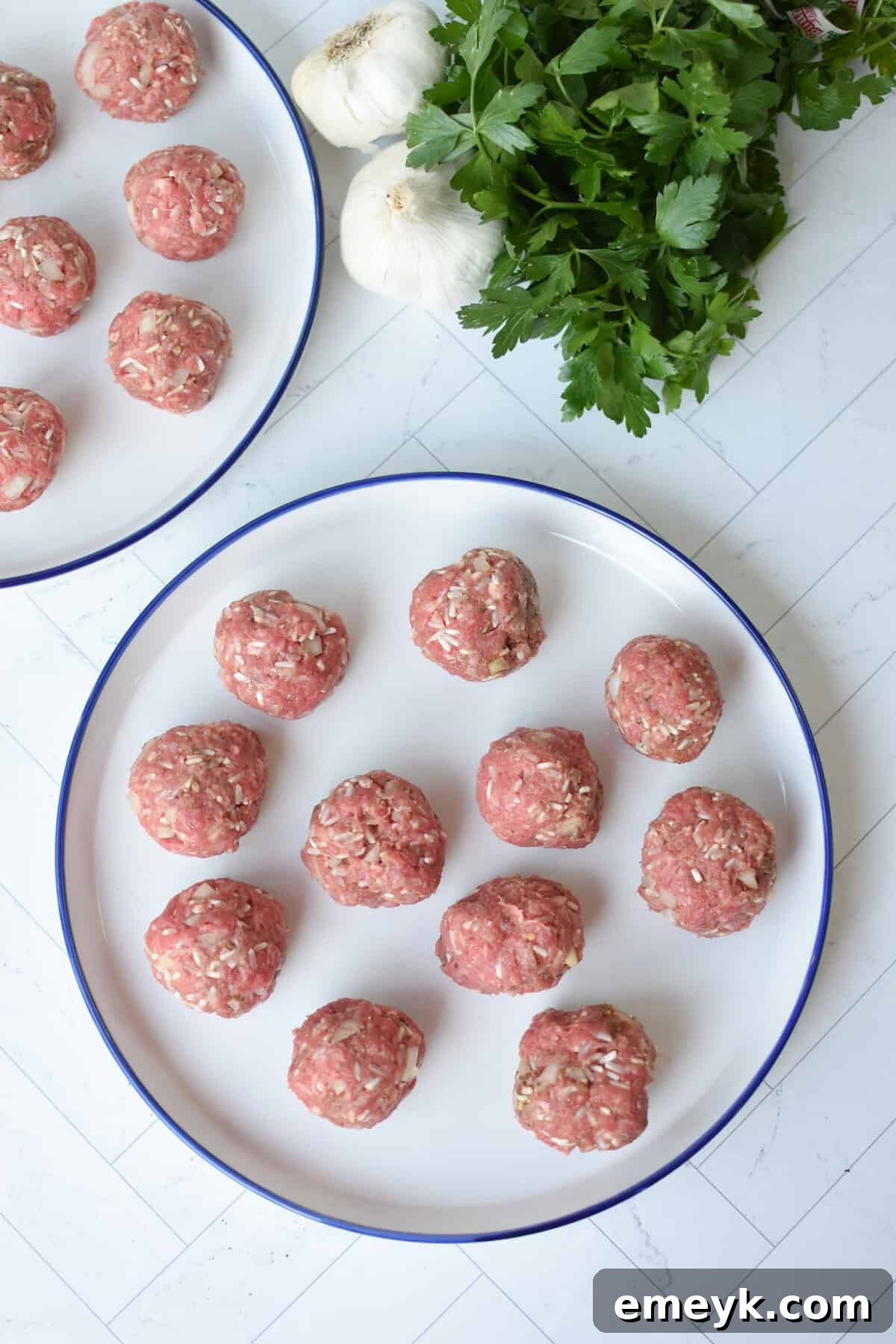 Rice Spiked Meatballs 7 Shaped Porcupine Meatballs resting on a plate, ready for browning.