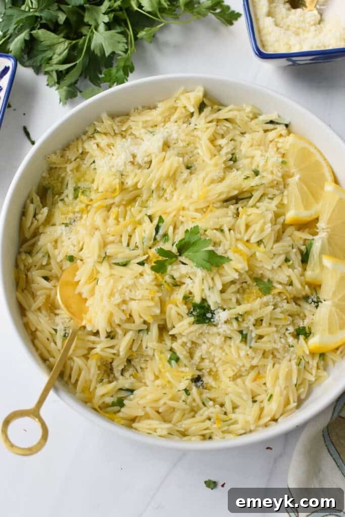 A bowl of zesty Lemon Orzo, ready to serve, with a spoon for portioning.