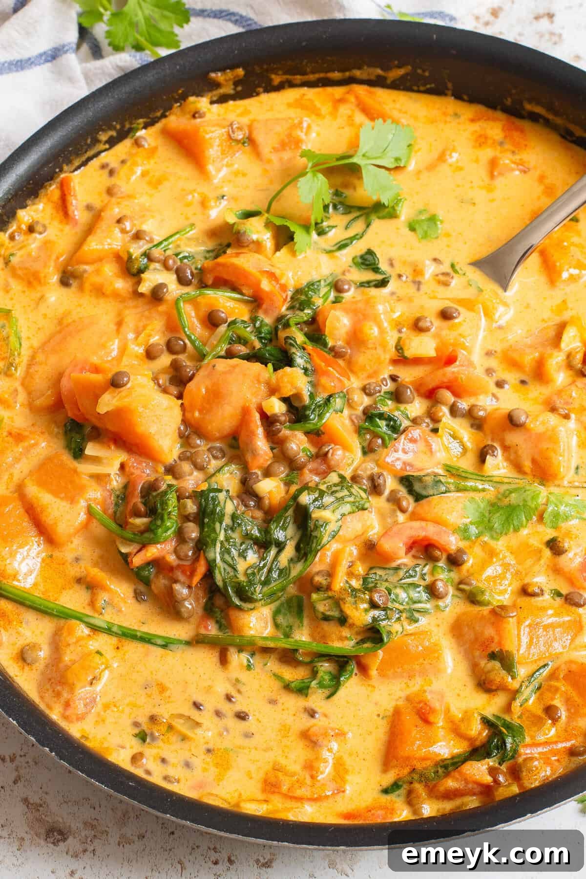 Sweet Potato Lentil Curry in a skillet