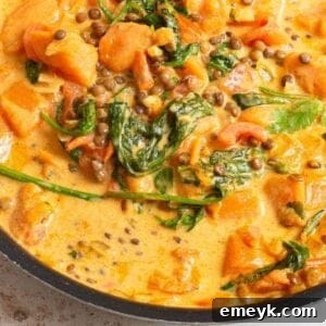 Sweet Potato Lentil Curry 1200 x 1200