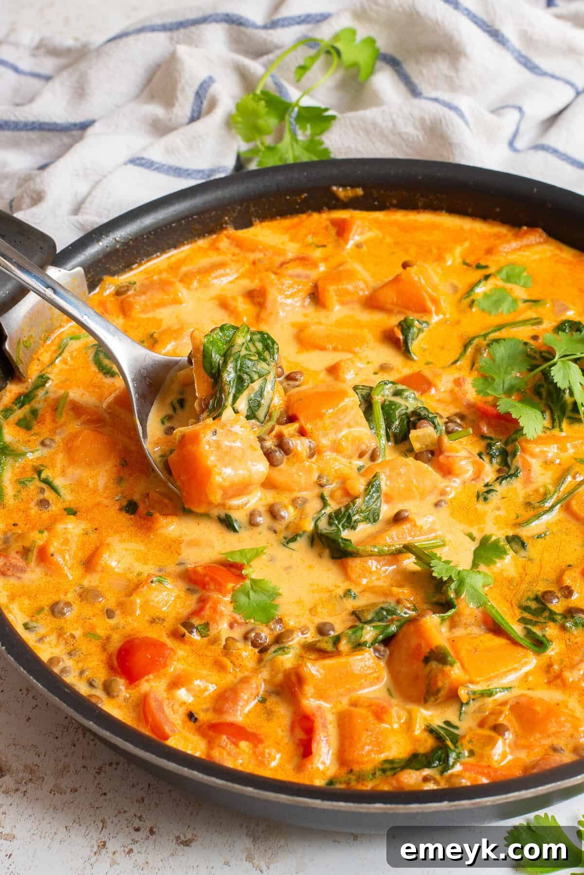Sweet Potato Lentil Curry with a serving spoon