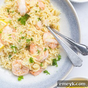 Lemon Shrimp and Orzo with forks