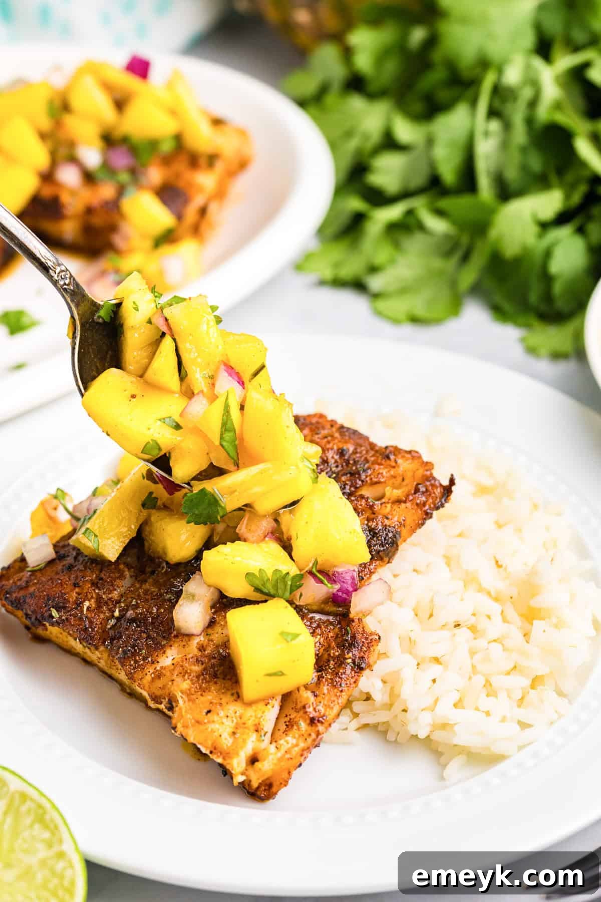 Effortless Blackened Cod 2 Easy Blackened Cod recipe with pineapple salsa served with rice