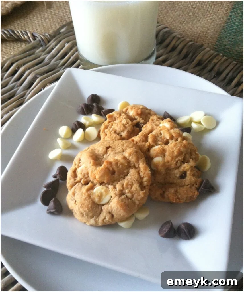 Delicious Peanut Butter Oatmeal Two Chip Cookies artfully arranged on a plate, ready to be enjoyed.