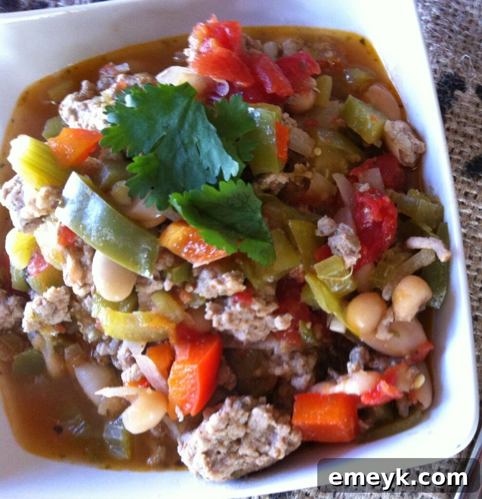 Close-up of a delicious bowl of Cajun Green Chili with garnishes