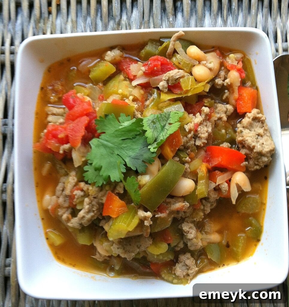 Spicy turkey chili, Cajun Green Chili, served in a bowl