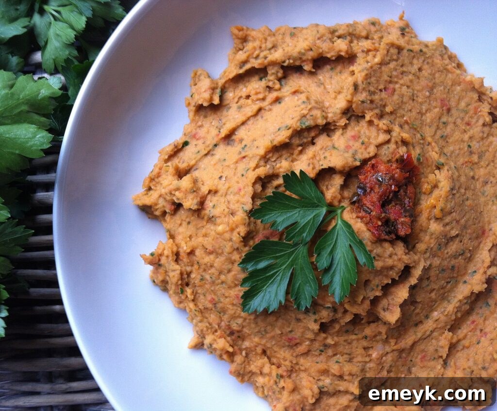 White Bean and Sun Dried Tomato Dip recipe served with crackers