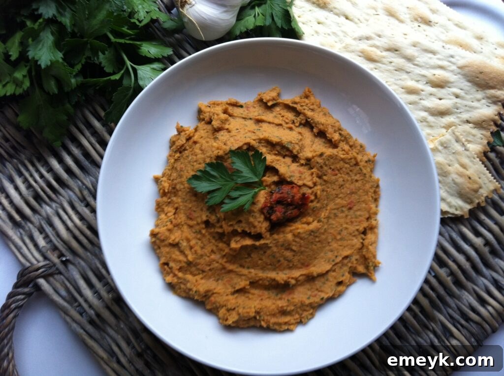 Close-up of a bowl of creamy White Bean and Sun Dried Tomato Dip