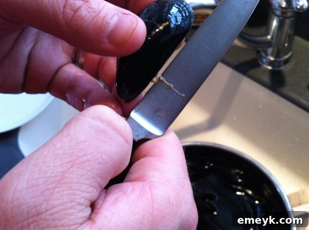 A hand demonstrating how to de-beard a mussel for cooking