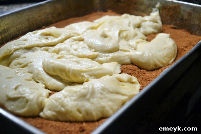 Cinnamon Ripple Coffee Cake 5 Cinnamon Swirl Coffee Cake batter in the pan, layered for swirling