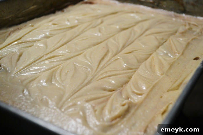 Cinnamon Ripple Coffee Cake 6 Cinnamon Swirl Coffee Cake ready to bake with swirled layers