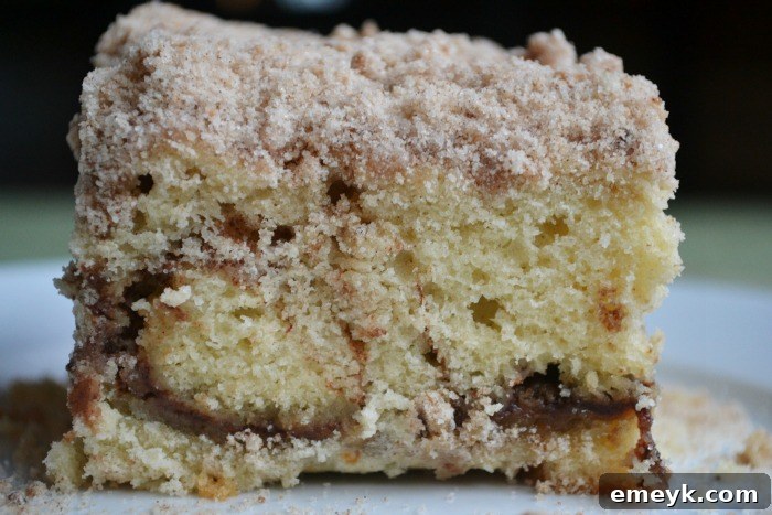 Cinnamon Ripple Coffee Cake 8 Slice of moist and buttery Cinnamon Swirl Coffee Cake