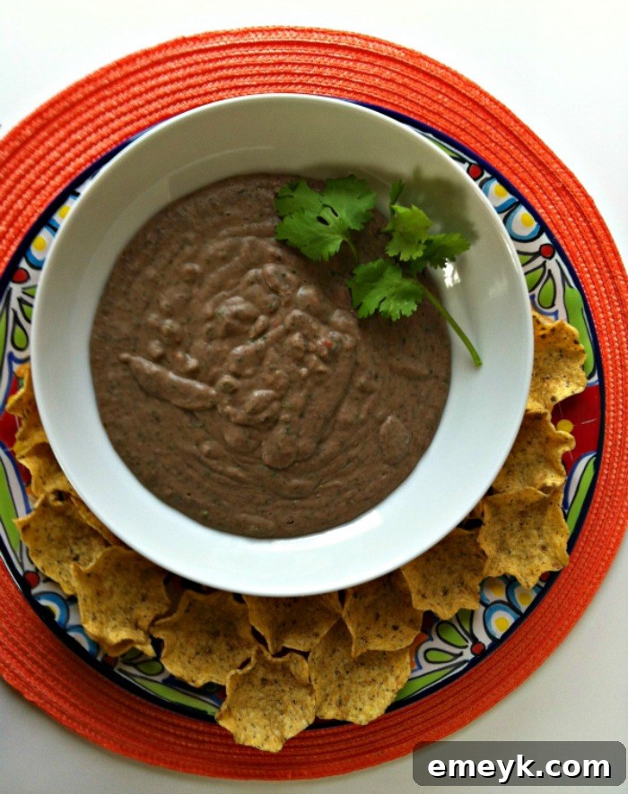 Black Bean Dip recipe