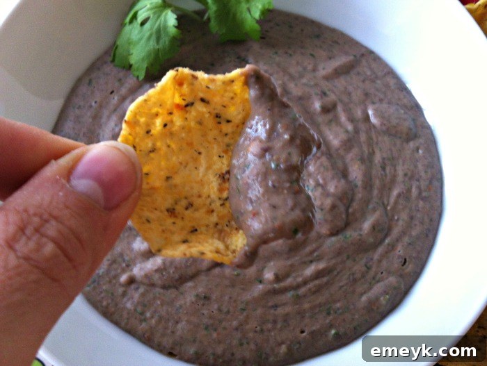 Smoky Black Bean Dip recipe