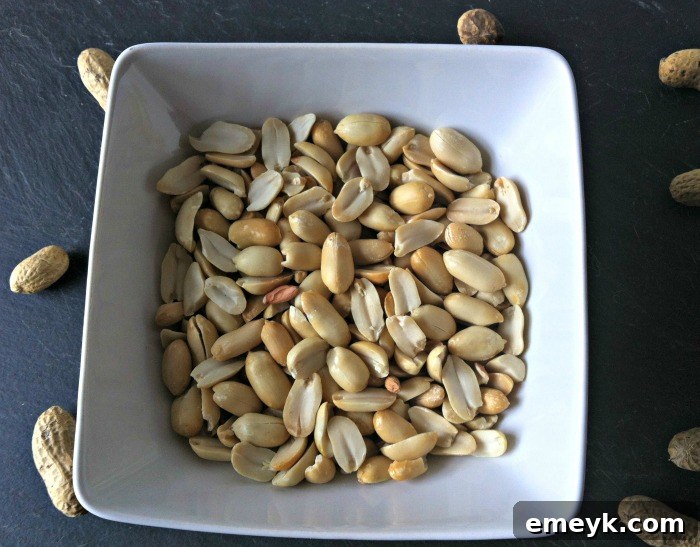 Peanuts for Homemade Peanut Butter Recipe